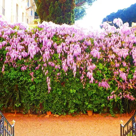Guest house Domus Monami Luxury Rome