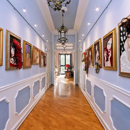 Domus Monami Luxury